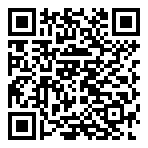 QR-Code - Businessdesign Truck