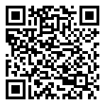 QR-Code - Professional Gaming 02